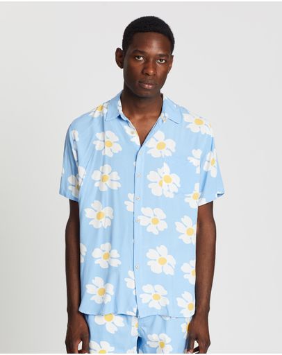 Blue Daisy