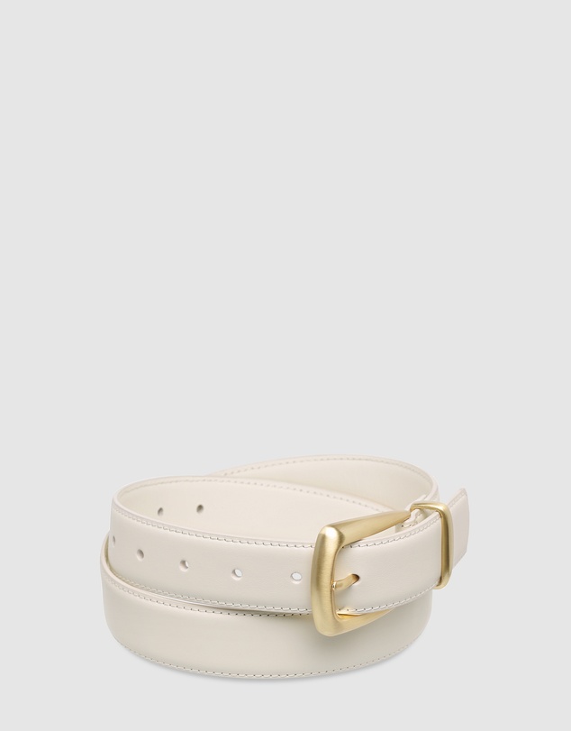 Status Anxiety - Some Time Later Belt