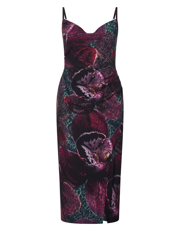 City Chic - Plus size Marisol Orchid Print Midi Dress - blackberry