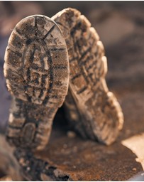 Redback Boots - Bobcat
