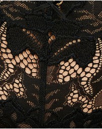 Sans Complexe - Arum Prima Mid Rise Sheer Stretch Lace Brief