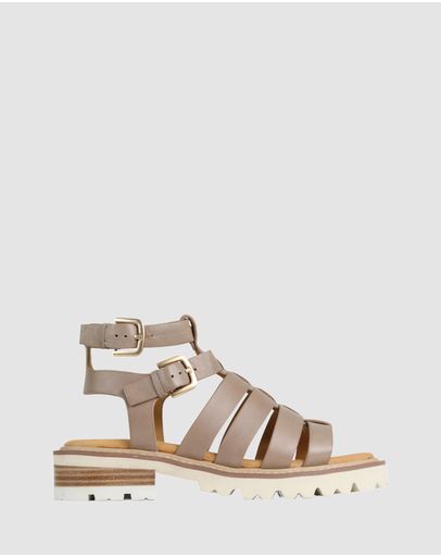 Taupe