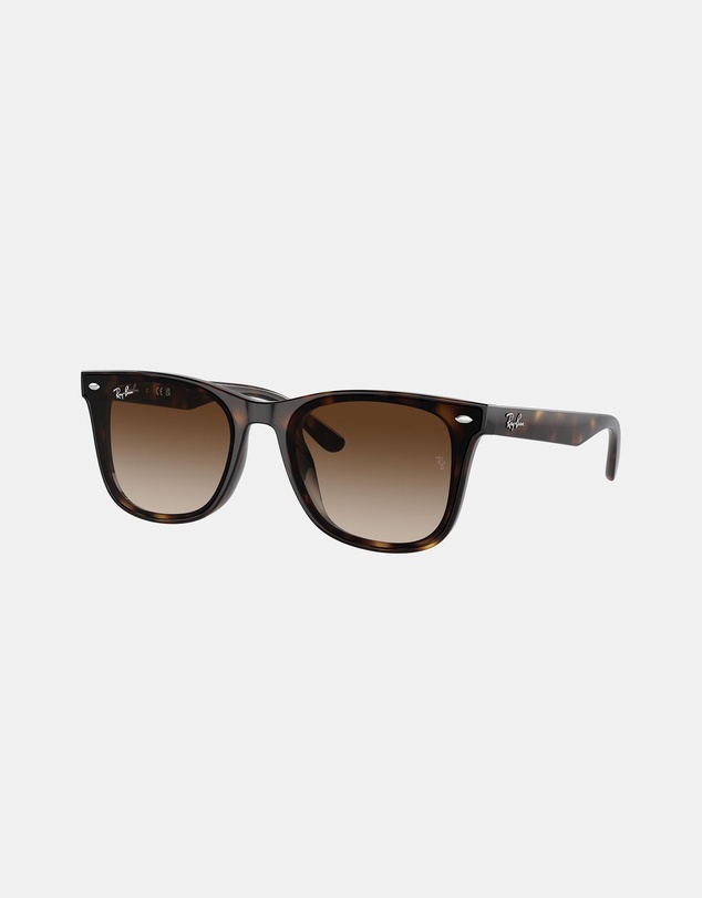 Ray-Ban - 0RB4420