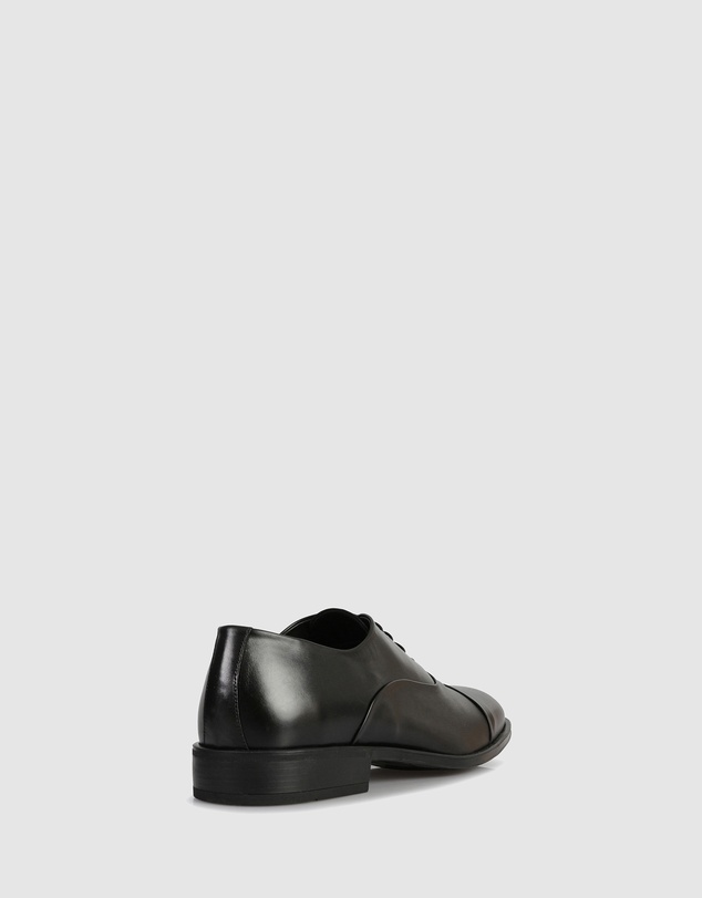 Brando - Morris Lace Ups