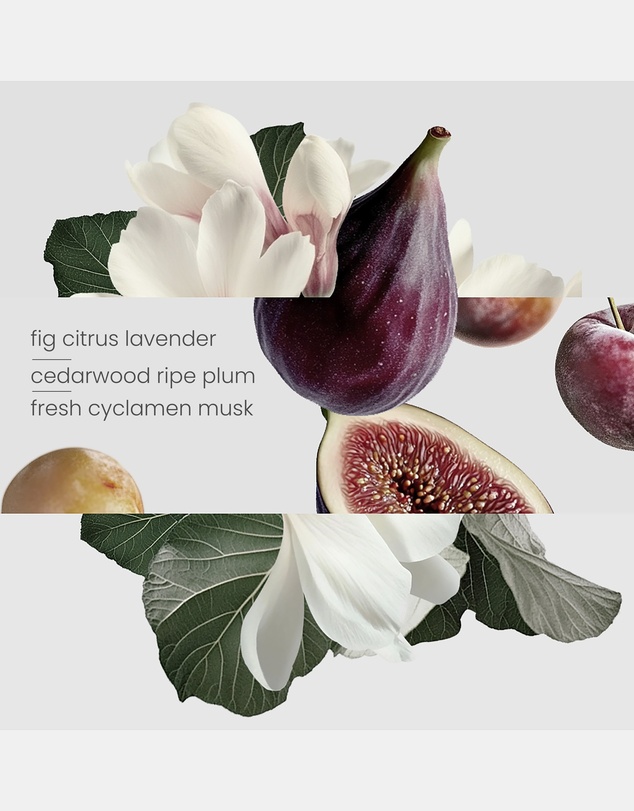 Kirri by Scent Australia Home - Fig Tree Candle 220g + Glass Cloche 220g + Wooden Base