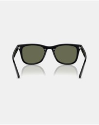 Ray-Ban - 0RB4420