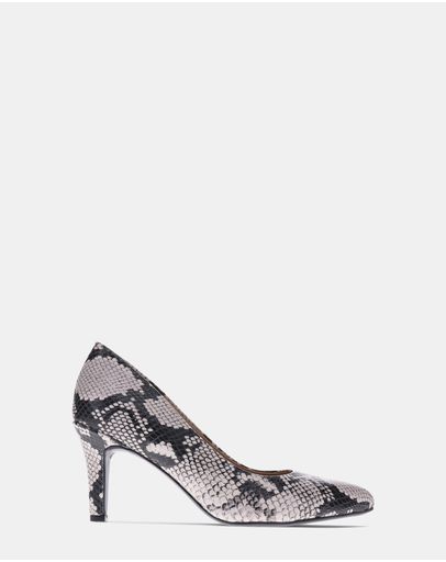 Black/White Snake