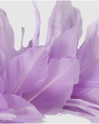 Max Alexander - Modern Lilac Racing Fascinator