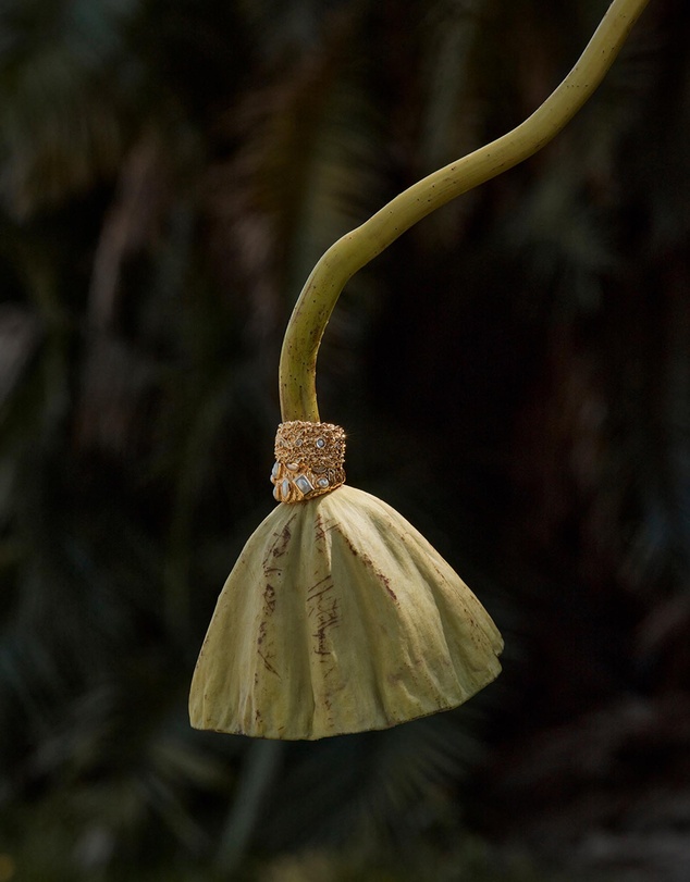 Amber Sceats - Cedar Ring