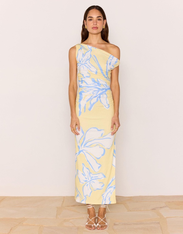 MINKPINK - Esme Asym Mesh Maxi Dress