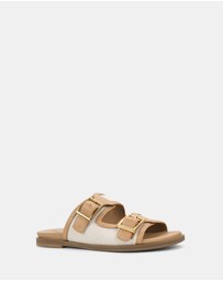 Hush Puppies - Theatre