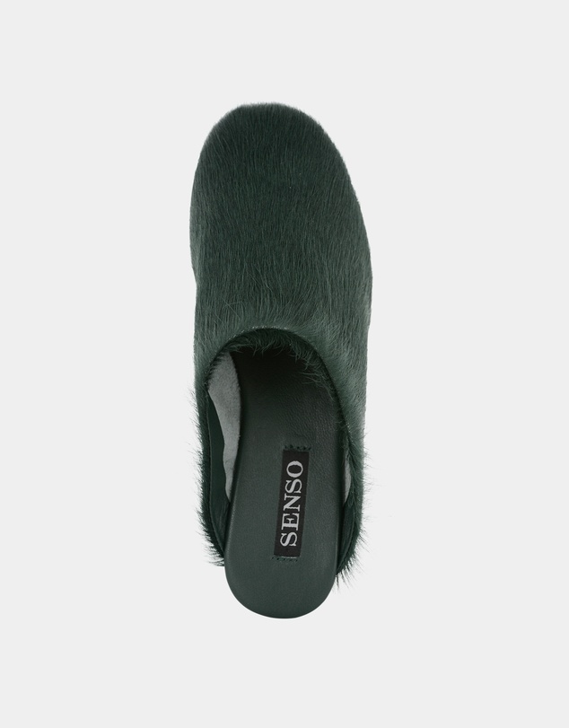 Senso - Caelan