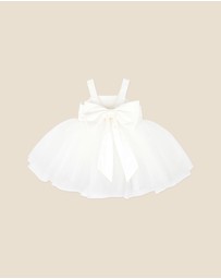 Bebe by Minihaha - Embroidered Bodice Tulle Dress With Bloomers - Babies