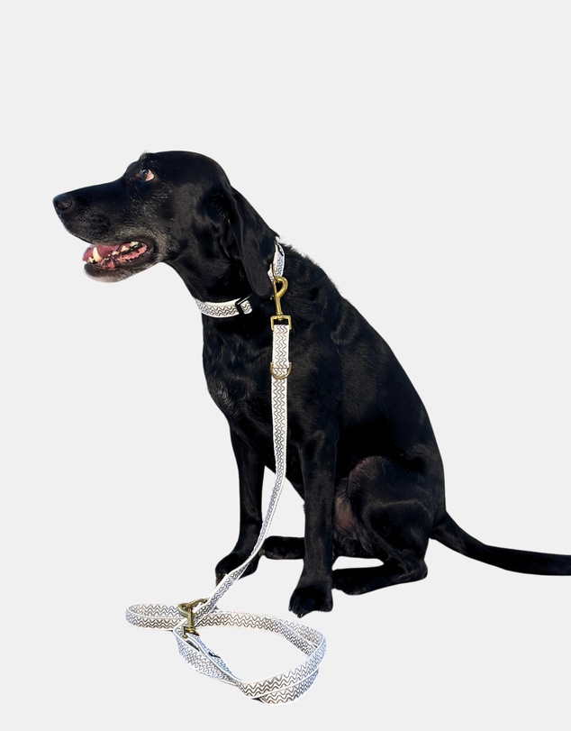 Mog & Bone - Multi-Function Hemp Dog Lead - Mocha Wave