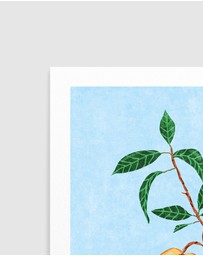 Olive et Oriel - Peach Tree In Vase by Raissa Oltmanns Art Print
