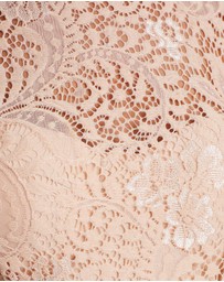 Miss Holly - Francis Dress