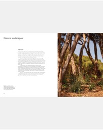 Brumby Sunstate - Wild by Design