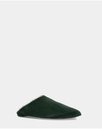 Senso - Caelan
