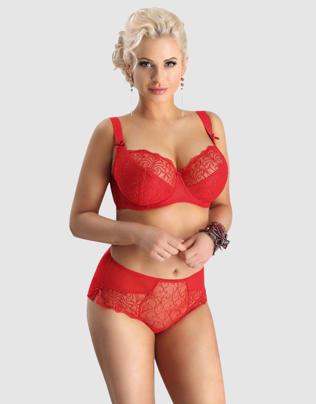 Nessa - Sonata Unlined Embroidered Large Cup Wired Bra