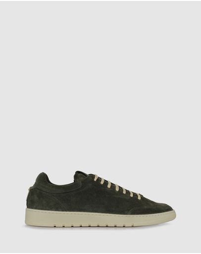 Olive 5898