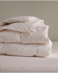 Sheet Society - LOW DOWN™ Medium Weight Quilt