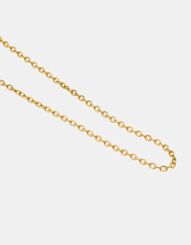 Zoe Olivia - 14K Gold Vermeil Belcher Chain Necklace