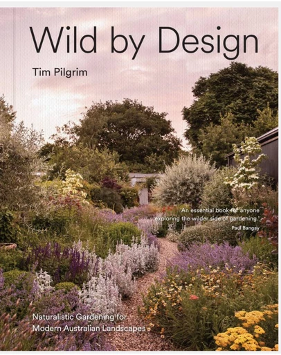 Brumby Sunstate - Wild by Design