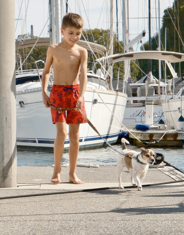 Tolu Australia - Boys Red Swim Shorts With Jellyfish