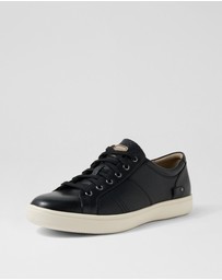 Rockport - Cl Colle Tie Ro