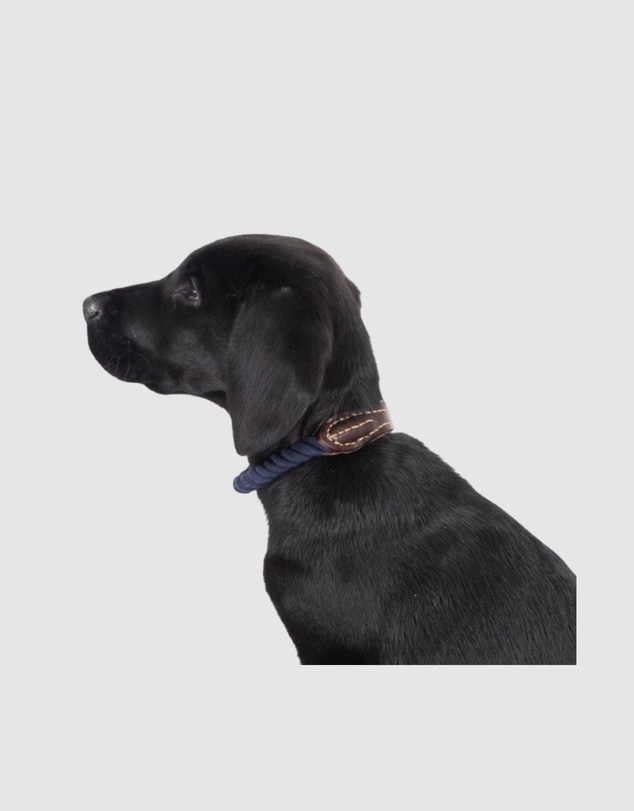 Mog & Bone - Rope & Leather Dog Collar- Navy