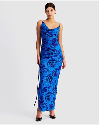 Blue Rose