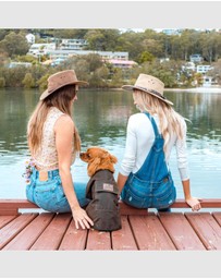 Jacaru - Jacaru 6510 Dog Coat