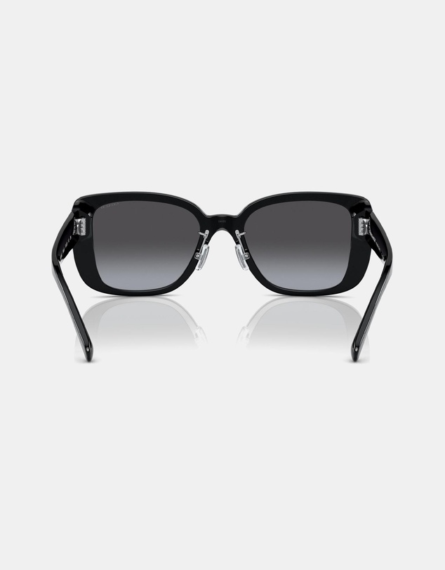 Coach - CD472