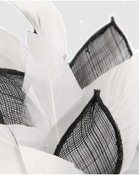 Max Alexander - Modern Flower Black & White Racing Fascinator