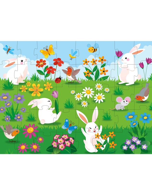 Sassi - Learn all about The Flowers 3D Puzzle and Book Set 40 Pieces