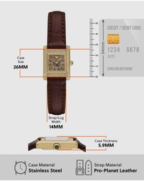Emporio Armani - Brown Analogue Watch