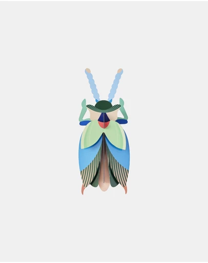 Studio Roof  - Wall Art Beetles A4