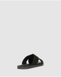 Brando - Angiolo Slides