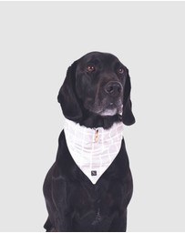 Mog & Bone - Dog Bandana - Grey Check Print