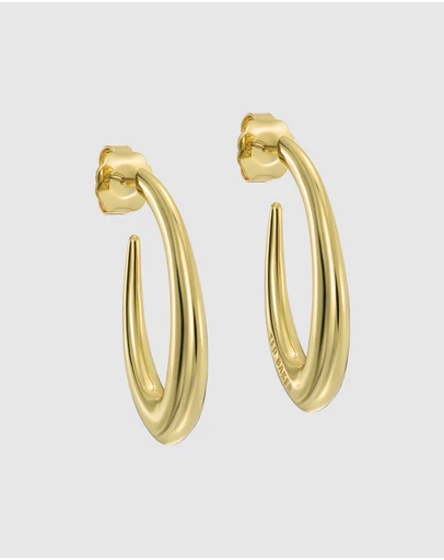 Ted Baker - SYDNEY: Smooth Link Hoop Earrings