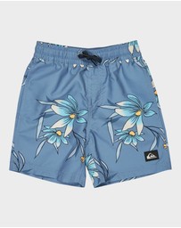 Quiksilver - Boys 2 to 7 Everyday 13