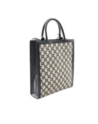 Pre-Loved by Azura Reborn - Pre-Loved Small Triomphe Canvas Vertical Cabas Tote