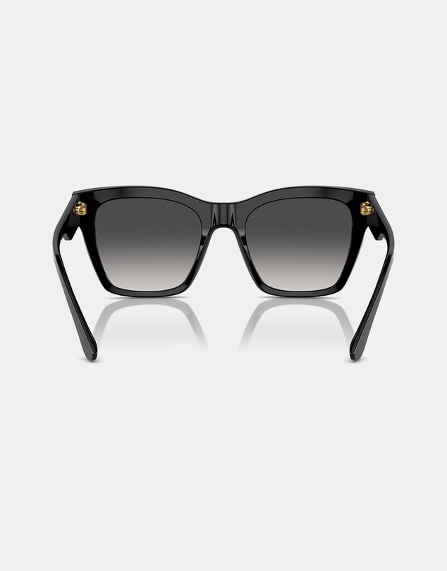 Dolce & Gabbana - 0DG4384