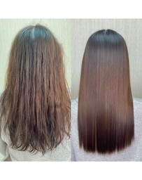 Silk Oil of Morocco - Emilee Hembrow - Shield, Glimmer & Treat Me Argan Trio