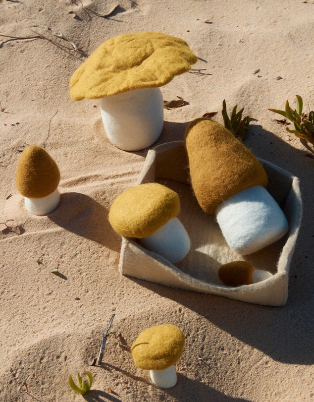 Phile - Crate of Mushrooms