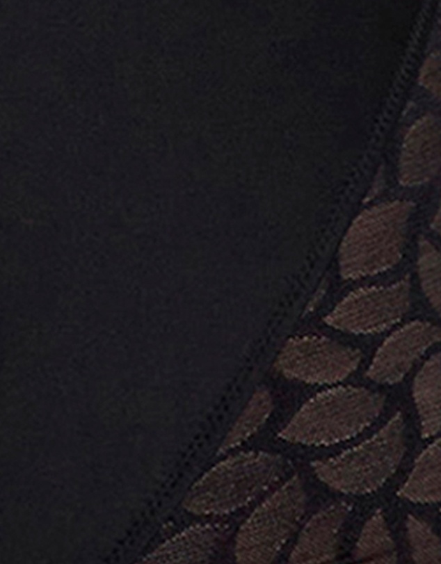 Sans Complexe - Perfect Curves High Waist Lace Shaping Brief