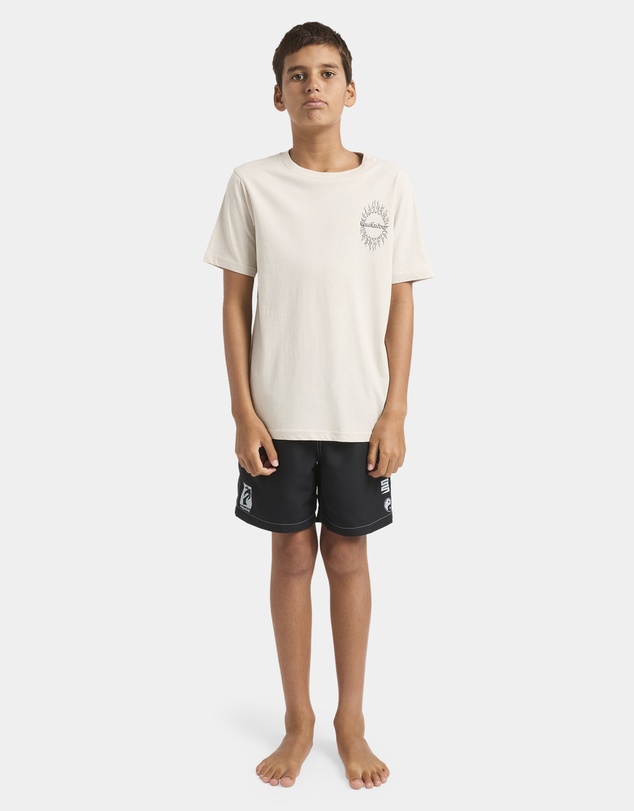 Quiksilver - Boys 8 to 16 Interconnect T-Shirt