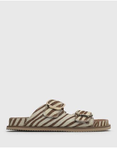 Tan Zebra Pony