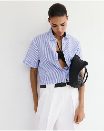 Light & Pastel Blue