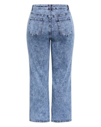 City Chic - Plus size Harley Fit Ivy Straight Leg Short Jean - mid wash